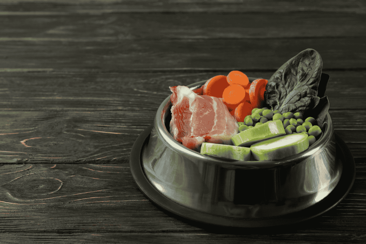 best-food-after-dog-neuter-surgery