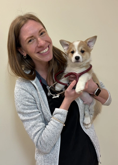 your-pet_s-smile-is-our-specialty