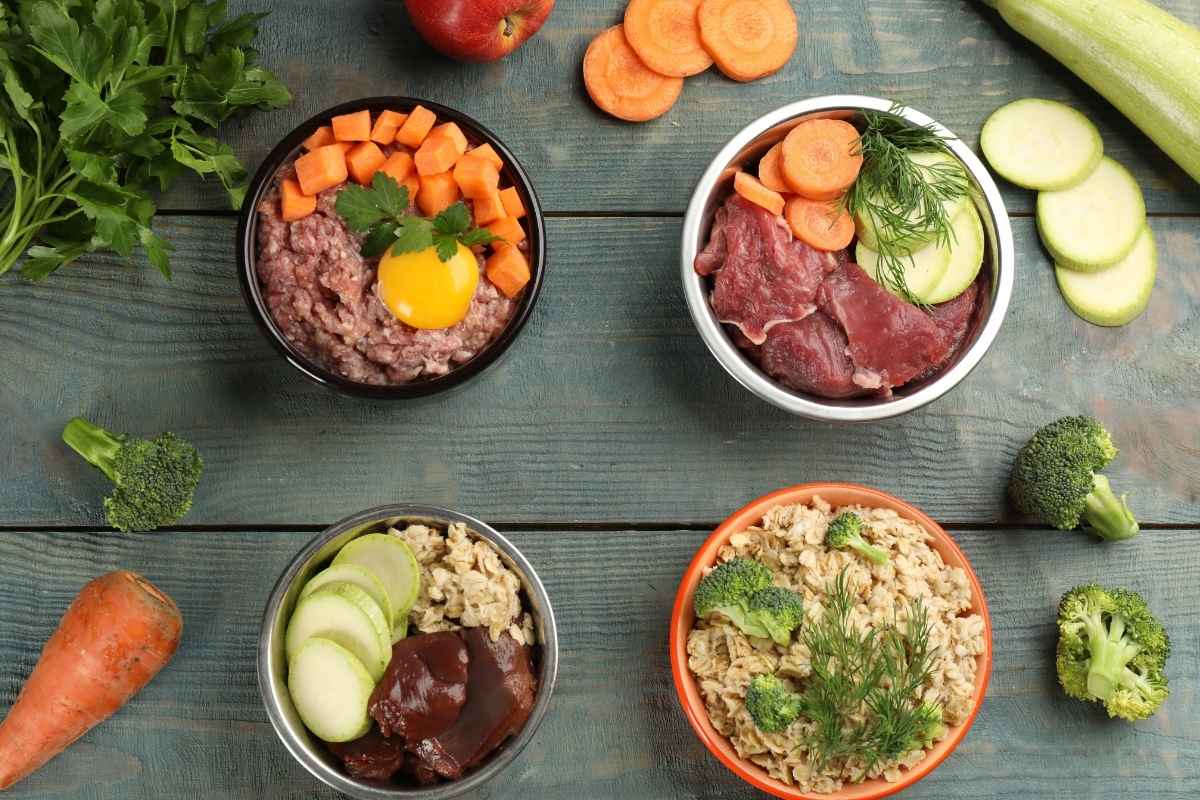 vet-approved-homemade-dog-food-guide