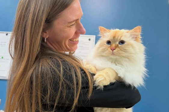 What is Advanced Cat Care?