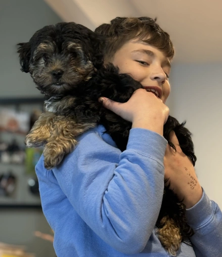 Dog Advanced Care