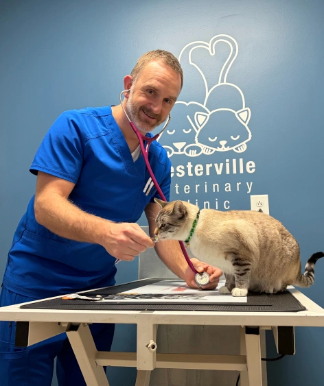 pet wellness visit