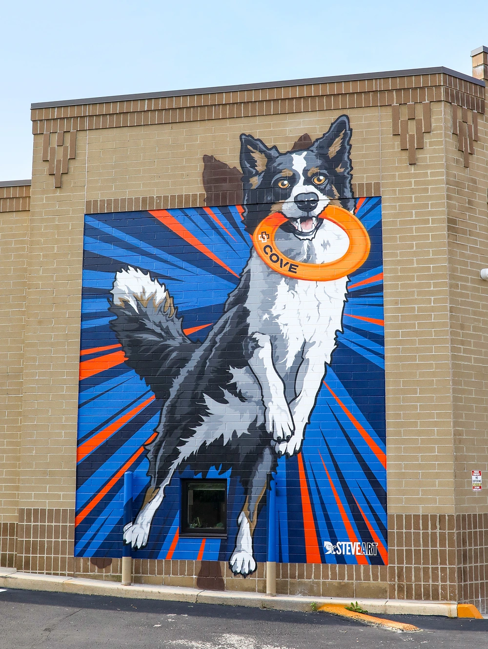 Border collie mural by Dr. Steve Horvath at COVE Pet Care